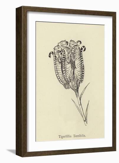 Tigerlillia Terribilis-Edward Lear-Framed Giclee Print