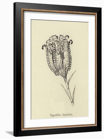 Tigerlillia Terribilis-Edward Lear-Framed Giclee Print