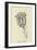 Tigerlillia Terribilis-Edward Lear-Framed Giclee Print