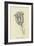 Tigerlillia Terribilis-Edward Lear-Framed Giclee Print