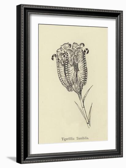 Tigerlillia Terribilis-Edward Lear-Framed Giclee Print