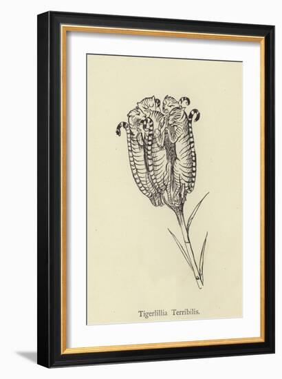 Tigerlillia Terribilis-Edward Lear-Framed Giclee Print