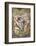 Tigerlily and Lace-David Hewitt-Framed Giclee Print