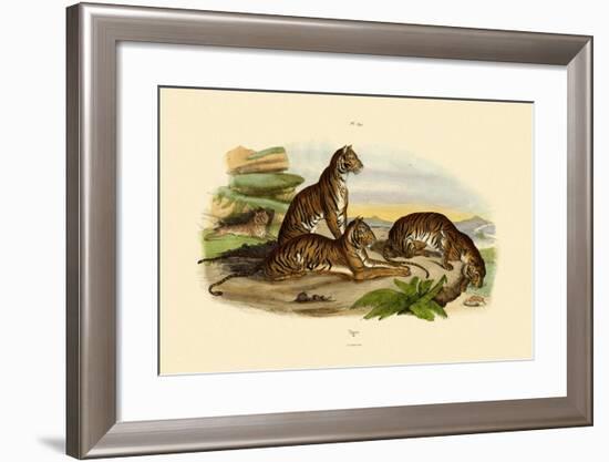 Tigers, 1833-39-null-Framed Giclee Print