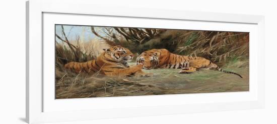 Tigers at Dawn, 1913-Wilhelm Kuhnert-Framed Giclee Print