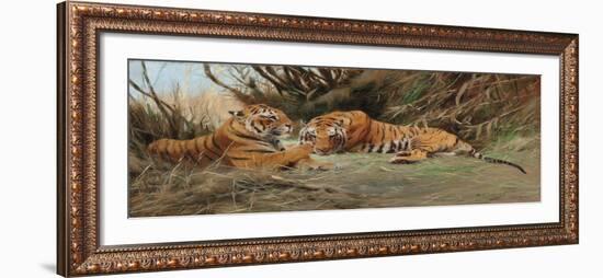 Tigers at Dawn, 1913-Wilhelm Kuhnert-Framed Giclee Print