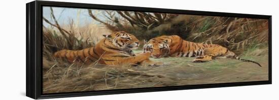 Tigers at Dawn, 1913-Wilhelm Kuhnert-Framed Premier Image Canvas