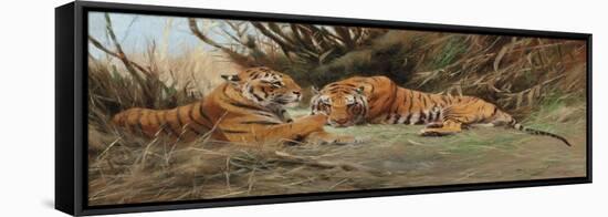 Tigers at Dawn, 1913-Wilhelm Kuhnert-Framed Premier Image Canvas
