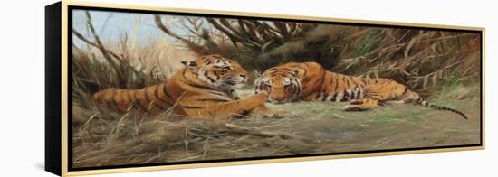 Tigers at Dawn, 1913-Wilhelm Kuhnert-Framed Premier Image Canvas