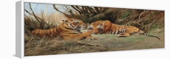 Tigers at Dawn, 1913-Wilhelm Kuhnert-Framed Premier Image Canvas