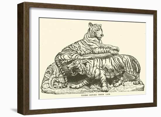 Tigers before their Lair-null-Framed Giclee Print