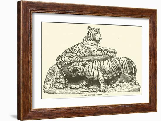 Tigers before their Lair-null-Framed Giclee Print