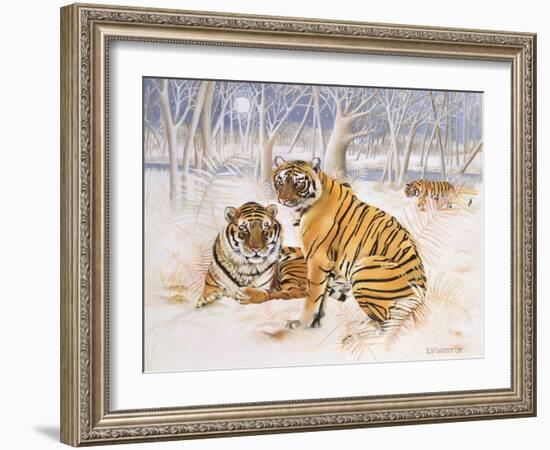 Tigers in the Snow, 2005-E.B. Watts-Framed Giclee Print