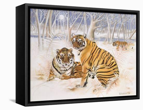 Tigers in the Snow, 2005-E.B. Watts-Framed Premier Image Canvas