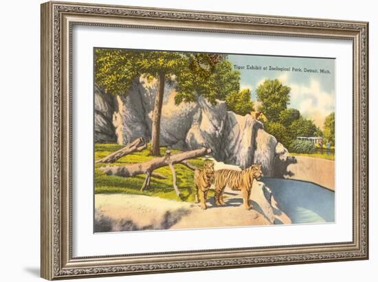 Tigers in Zoo, Detroit, Michigan-null-Framed Art Print