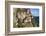 Tigers Nest (Taktshang Goemba), Paro Valley, Bhutan-Peter Adams-Framed Photographic Print