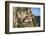 Tigers Nest (Taktshang Goemba), Paro Valley, Bhutan-Peter Adams-Framed Photographic Print