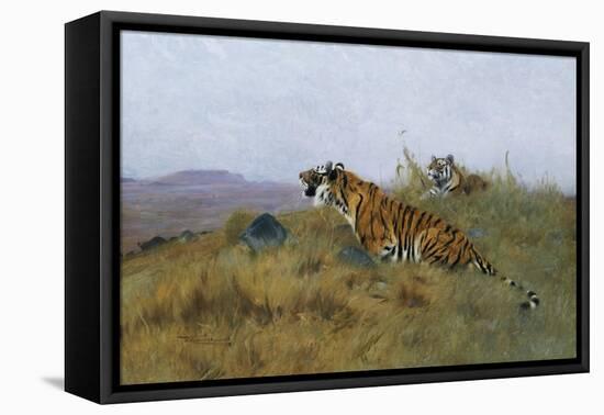 Tigers Stalking Their Prey-Wilhelm Kuhnert-Framed Premier Image Canvas