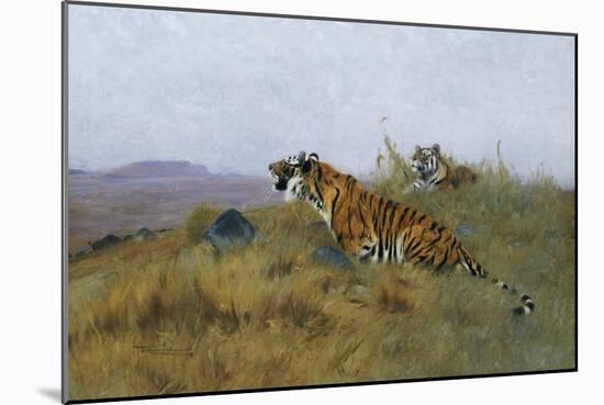 Tigers Stalking Their Prey-Wilhelm Kuhnert-Mounted Giclee Print