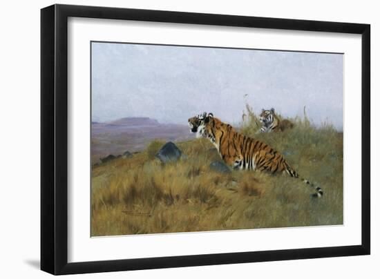 Tigers Stalking Their Prey-Wilhelm Kuhnert-Framed Giclee Print