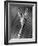 Tightrope Girl-null-Framed Photographic Print