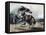 Tigre attaquant un cheval sauvage-Eugene Delacroix-Framed Premier Image Canvas