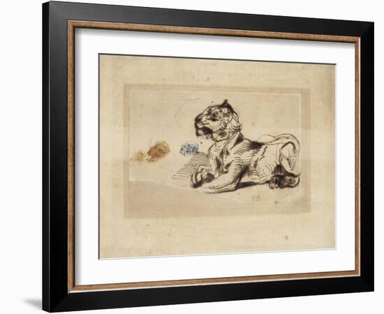 Tigre couché, de profil à droite-Eugene Delacroix-Framed Giclee Print