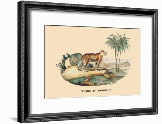 Tigre d'Afrique-E.f. Noel-Framed Art Print