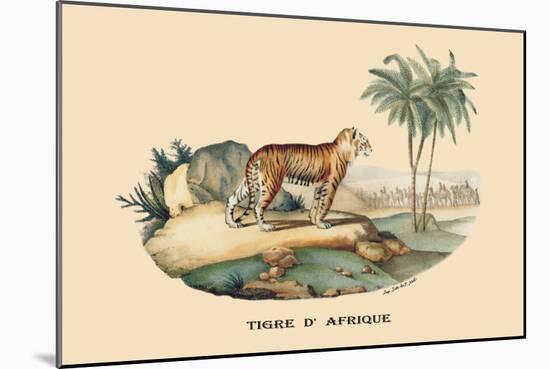 Tigre d'Afrique-E.f. Noel-Mounted Art Print