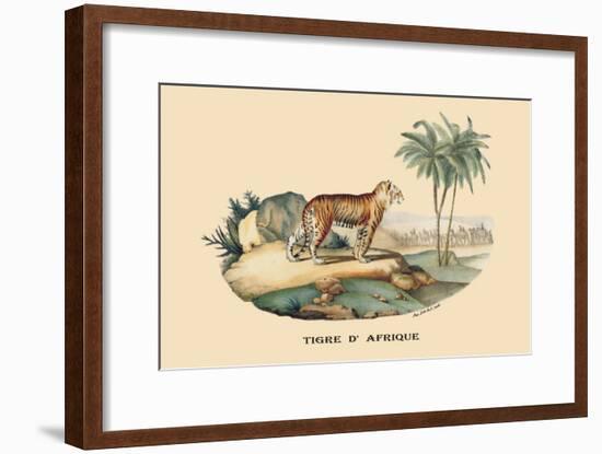 Tigre d'Afrique-E.f. Noel-Framed Art Print