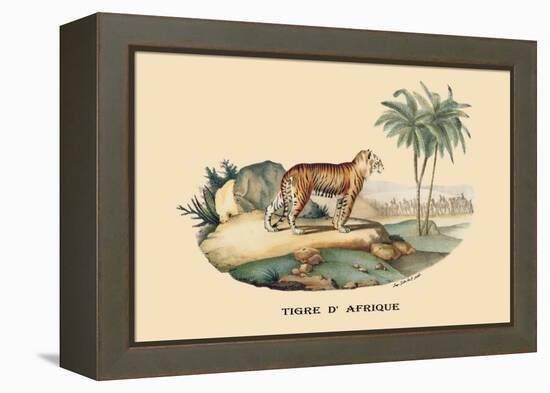 Tigre d'Afrique-E.f. Noel-Framed Stretched Canvas
