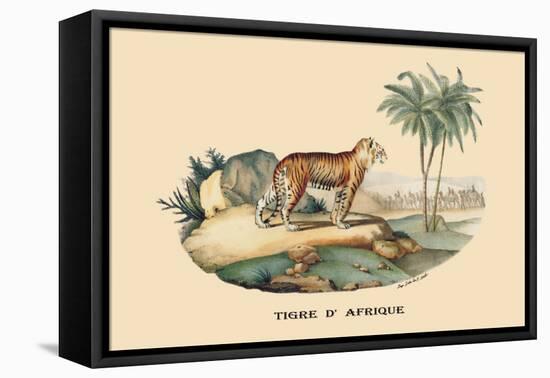 Tigre d'Afrique-E.f. Noel-Framed Stretched Canvas