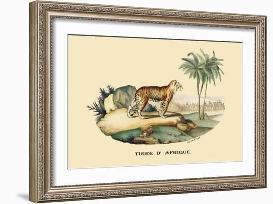 Tigre d'Afrique-E.f. Noel-Framed Art Print