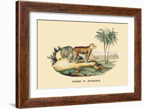 Tigre d'Afrique-E.f. Noel-Framed Art Print