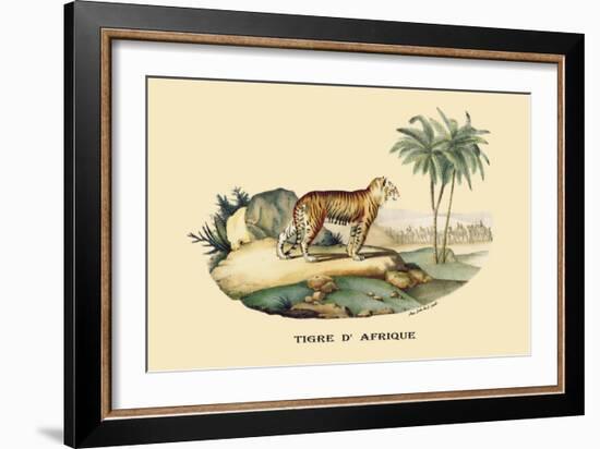 Tigre d'Afrique-E.f. Noel-Framed Art Print
