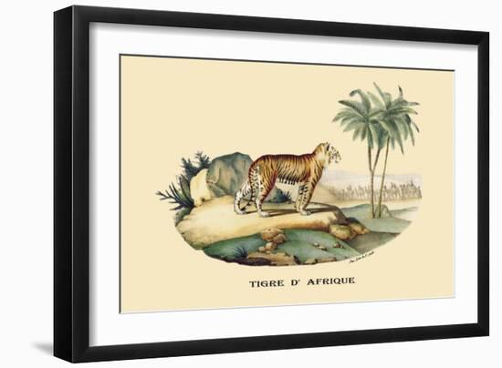 Tigre d'Afrique-E.f. Noel-Framed Art Print