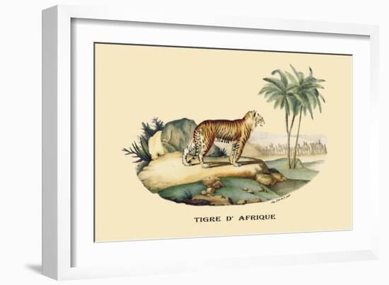 Tigre d'Afrique-E.f. Noel-Framed Art Print