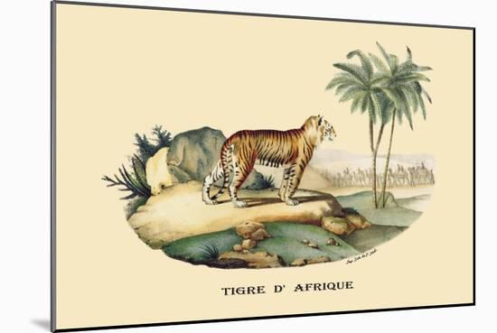 Tigre d'Afrique-E.f. Noel-Mounted Art Print