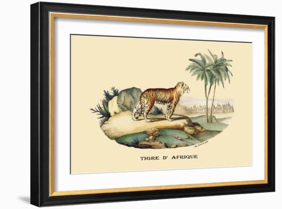 Tigre d'Afrique-E.f. Noel-Framed Art Print