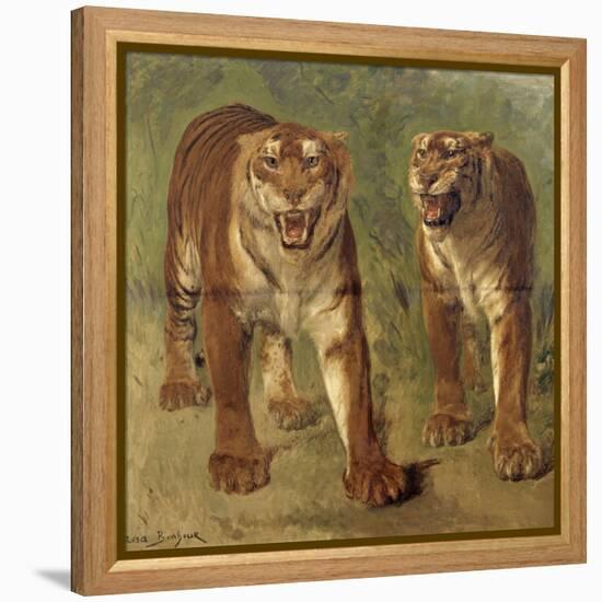 Tigre royal furieux-Rosa Bonheur-Framed Premier Image Canvas