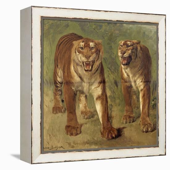 Tigre royal furieux-Rosa Bonheur-Framed Premier Image Canvas