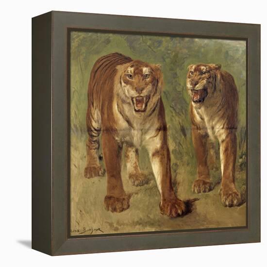 Tigre royal furieux-Rosa Bonheur-Framed Premier Image Canvas