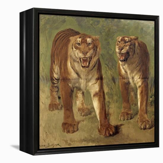 Tigre royal furieux-Rosa Bonheur-Framed Premier Image Canvas