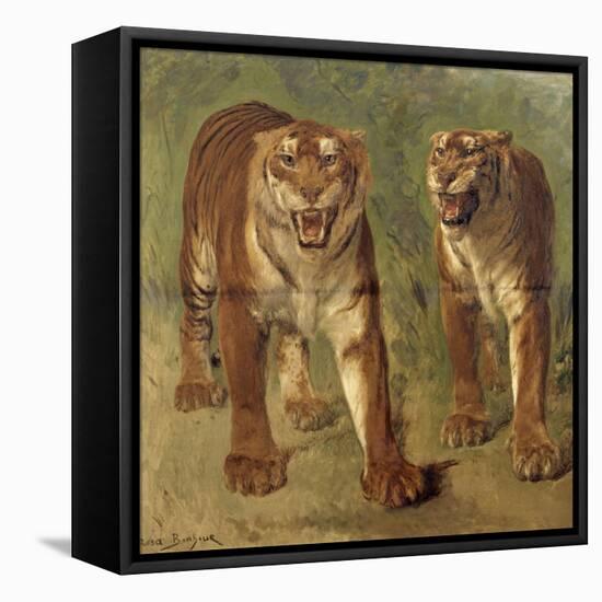 Tigre royal furieux-Rosa Bonheur-Framed Premier Image Canvas