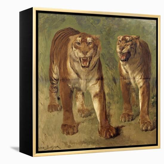 Tigre royal furieux-Rosa Bonheur-Framed Premier Image Canvas
