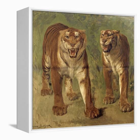 Tigre royal furieux-Rosa Bonheur-Framed Premier Image Canvas