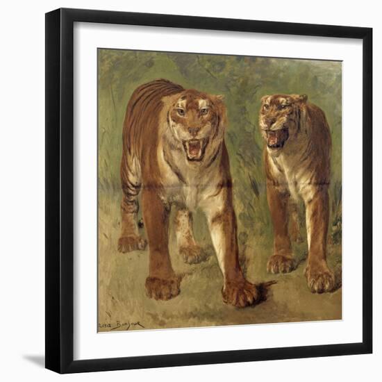 Tigre royal furieux-Rosa Bonheur-Framed Giclee Print