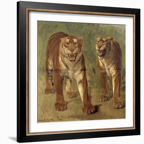 Tigre royal furieux-Rosa Bonheur-Framed Giclee Print