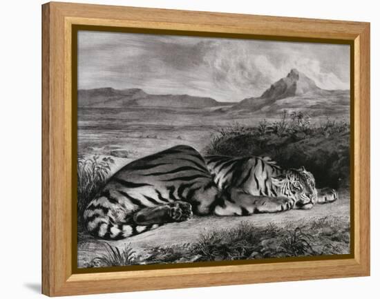 Tigre royal-Eugene Delacroix-Framed Premier Image Canvas