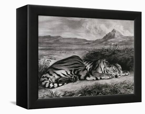 Tigre royal-Eugene Delacroix-Framed Premier Image Canvas